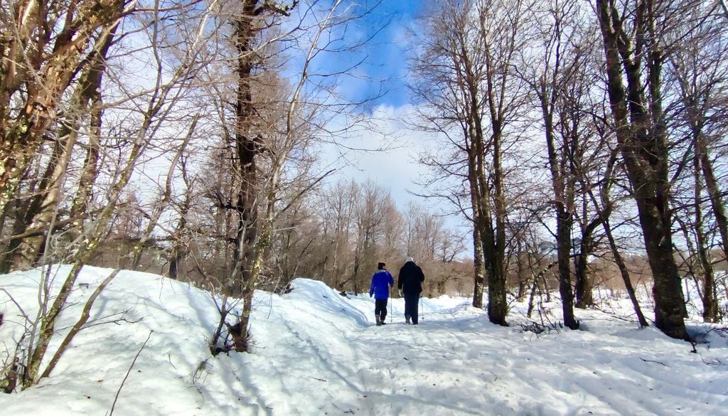 Agreste Chile, Lonquimay. Lonquimay es el paraíso de la nieve en invierno.