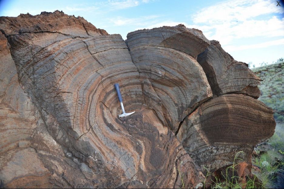 Rocas de hace 2.700 millones de años, en Australia Occidental. Imagen: R. Buick. Fuente: UW.