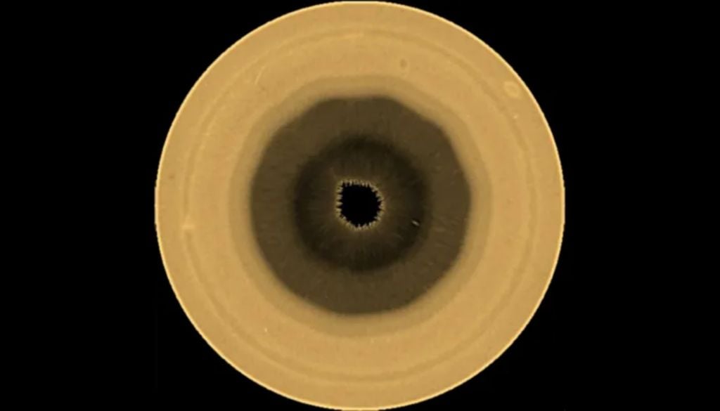 Saturno decagono hexagono El polo sur de Saturno, captado por el telescopio espacial Hubble en agosto de 2025. Crédito: NASA, ESA, A. Sánchez-Lavega (Universidad del País Vasco, EHU).