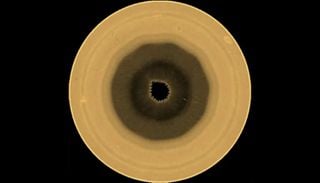 La atm&oacute;sfera de Saturno vuelve a sorprender: hallan gigante y misteriosa 'figura de 10 lados' en el polo sur del planeta