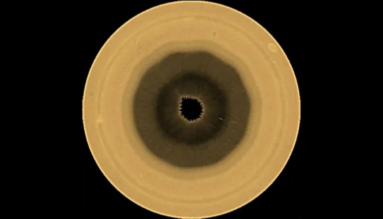La atm&oacute;sfera de Saturno vuelve a sorprender: hallan gigante y misteriosa 'figura de 10 lados' en el polo sur del planeta