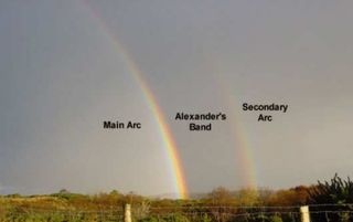 La banda oscura de Alejandro