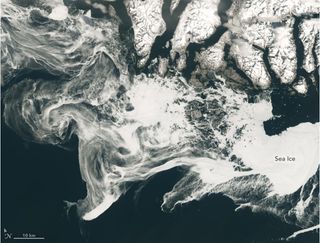 La belleza helada de nuestro planeta