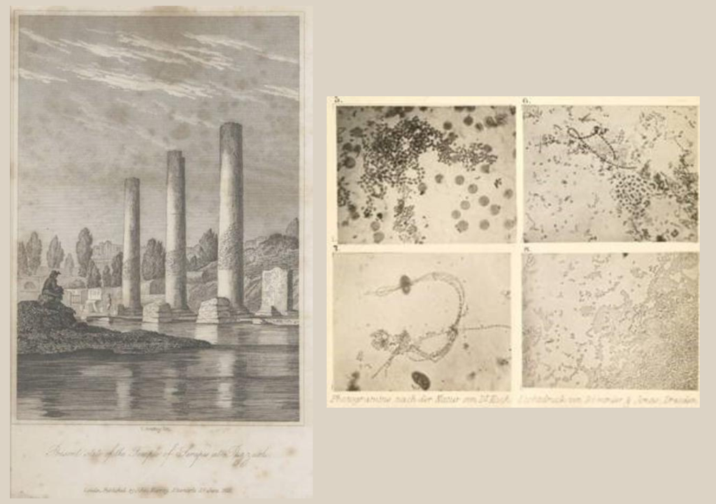 A la izquierda, el frontis del volumen 1 de Principios de Geología, de Charles Lyell y a la derecha, recorte del número de una revista científica con las primeras fotografías publicadas de bacterias. Fotos: Darwin Online. A la izquierda, el frontis del volumen 1 de Principios de Geología, de Charles Lyell y a la derecha, recorte del número de una revista científica con las primeras fotografías publicadas de bacterias. Fotos: Darwin Online.