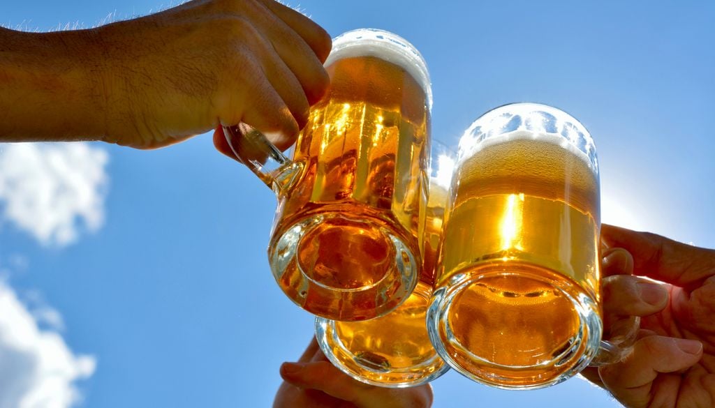 El festival cervecero Bierfest Santiago prepara una nueva edición en el Parque Padre Hurtado de La Reina.