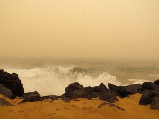 La calima ciega a Canarias: PM10 en niveles extremadamente desfavorables 