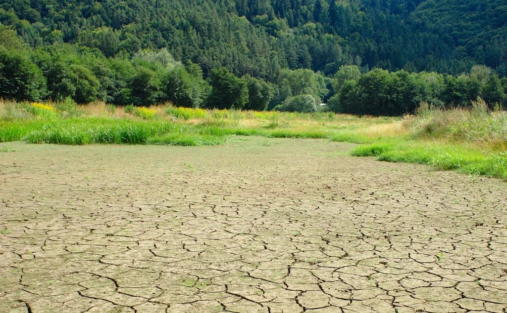 L'assèchement des points d'eau réduit la capacité du moustique à se reproduire L'assèchement des points d'eau réduit la capacité du moustique à se reproduire