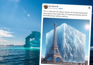 The Greenland ice sheet loses an Eiffel Tower of ice every hour, the disturbing parallelism of a scientist