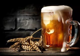 ¡La cerveza que salvará el planeta: de generar residuos a crear superalimentos!