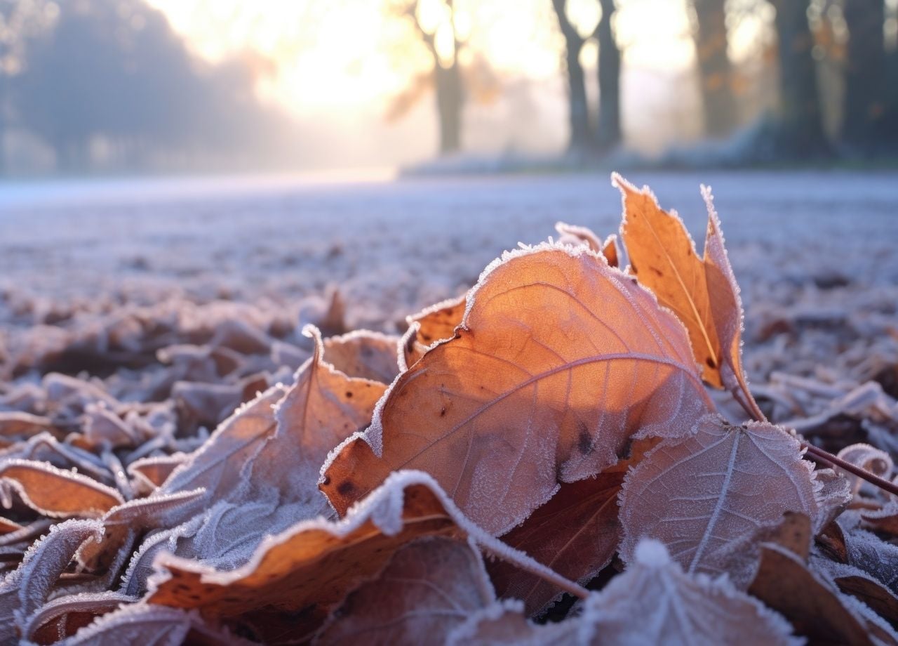 La chaleur qui revient cache-t-elle un risque d'épisode de froid en octobre ? Nos informations pour la France