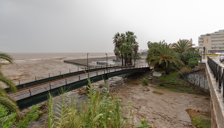 La CHJ desmonta el bulo: la vegetaci&oacute;n de los barrancos frena la velocidad del agua durante las riadas