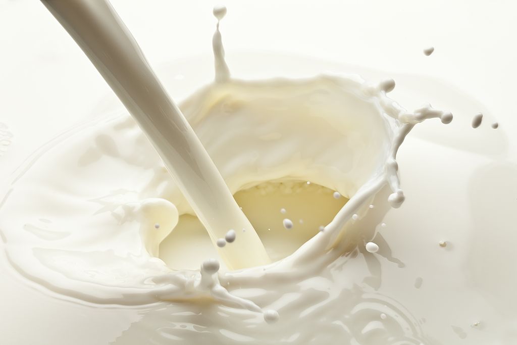 yogur yogur