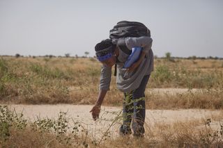 La ciencia combate la desertificación en el Sahel