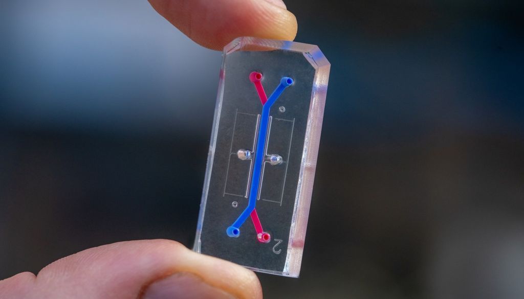 Un chip de órgano para realizar experimentos con médula ósea en el espacio. Crédito: Emulate / NASA.