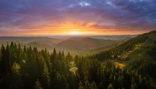 La ciencia duplica el tiempo de vida de las plantas: un modelo clim&aacute;tico estima que resistir&aacute;n 2000 millones de a&ntilde;os m&aacute;s