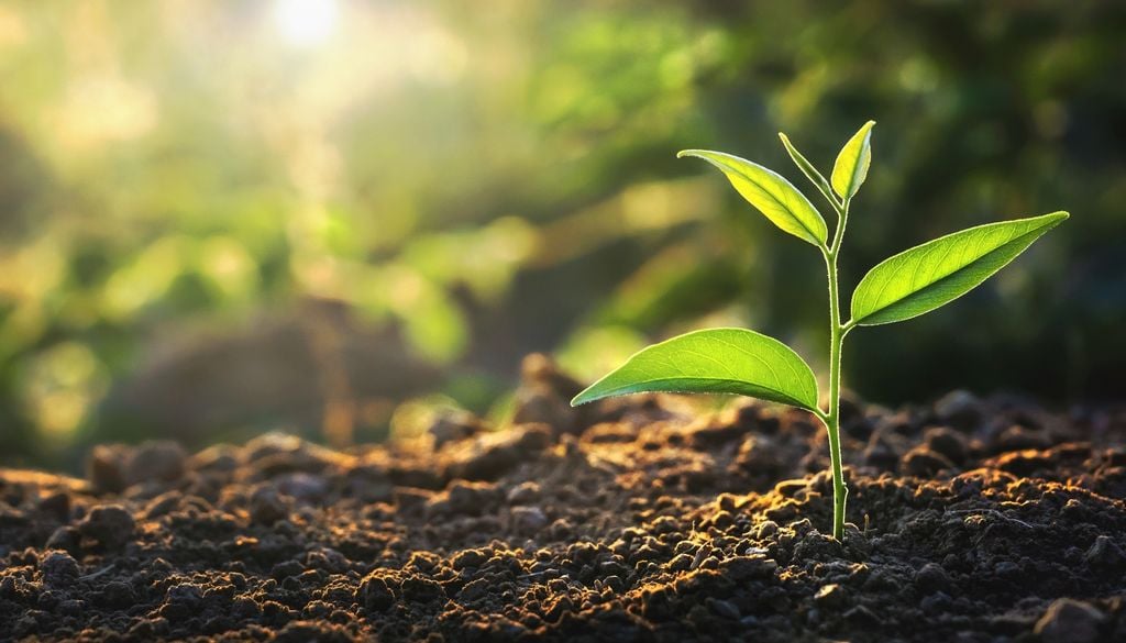 La luminosidad del Sol se incrementa aproximadamente 10 % por cada mil millones de años, modificando la temperatura de la superficie terrestre y condicionando el futuro de la vida.