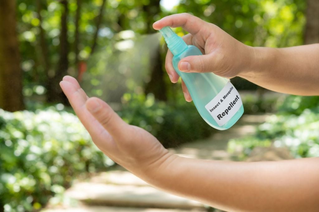 El repelente interrumpe la cadena de rastreo de los mosquitos para encontrar sus presas. El repelente interrumpe la cadena de rastreo de los mosquitos para encontrar sus presas.