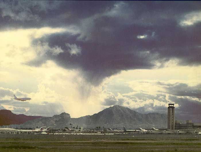 La Cizalladura Descafeinada La Cizalladura Descafeinada