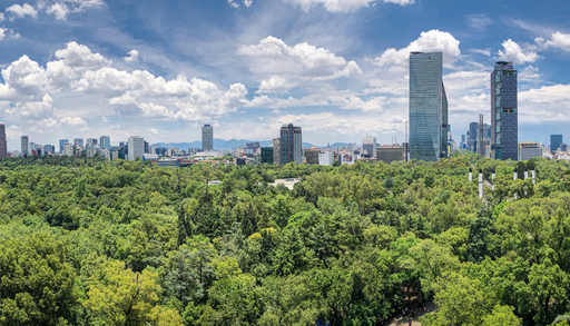La clave para reforestar CDMX en plena sequ&iacute;a son estas especies nativas que aguantan sin agua
