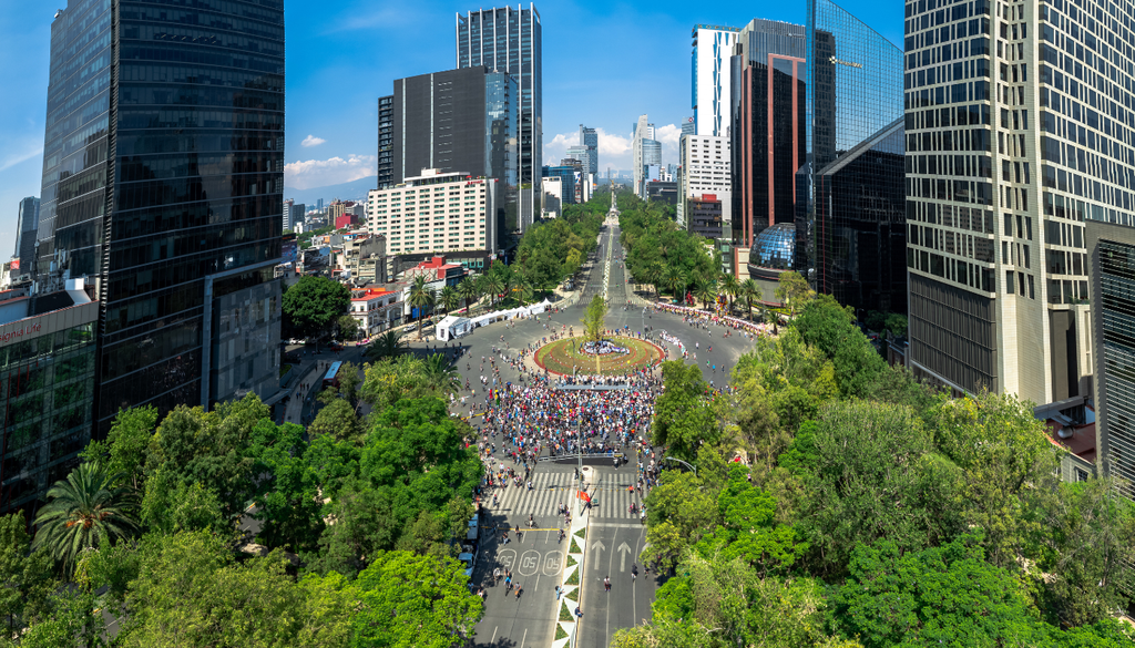 El ahuehuete en Reforma pudo ser una gran idea, pero una mala planeación —desde la selección del ejemplar hasta su establecimiento— terminó jugando en contra.