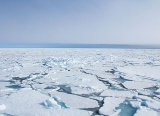 Cuando el mar se congela: ¿cómo se forma la banquisa polar?