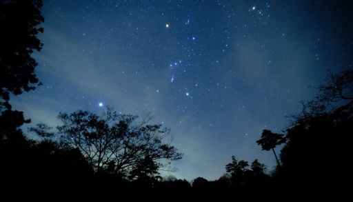 La constelaci&oacute;n que anuncia el cielo de invierno ya se deja ver en M&eacute;xico: c&oacute;mo encontrar a Ori&oacute;n