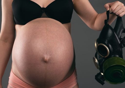 Descubren una relaci&oacute;n entre la contaminaci&oacute;n del aire en el embarazo y un menor rendimiento cognitivo en la infancia