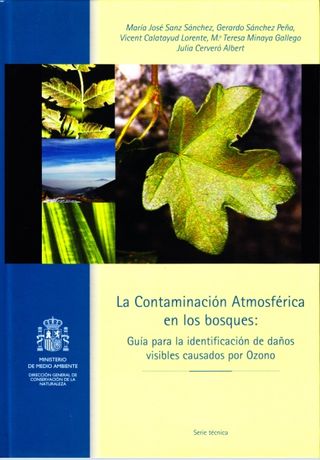 La Contaminación Atmosférica en los bosques: Guía para la identificación de daños visibles causados por Ozono