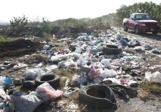 La Contaminación De Los Suelos Está Contaminando Nuestro Futuro