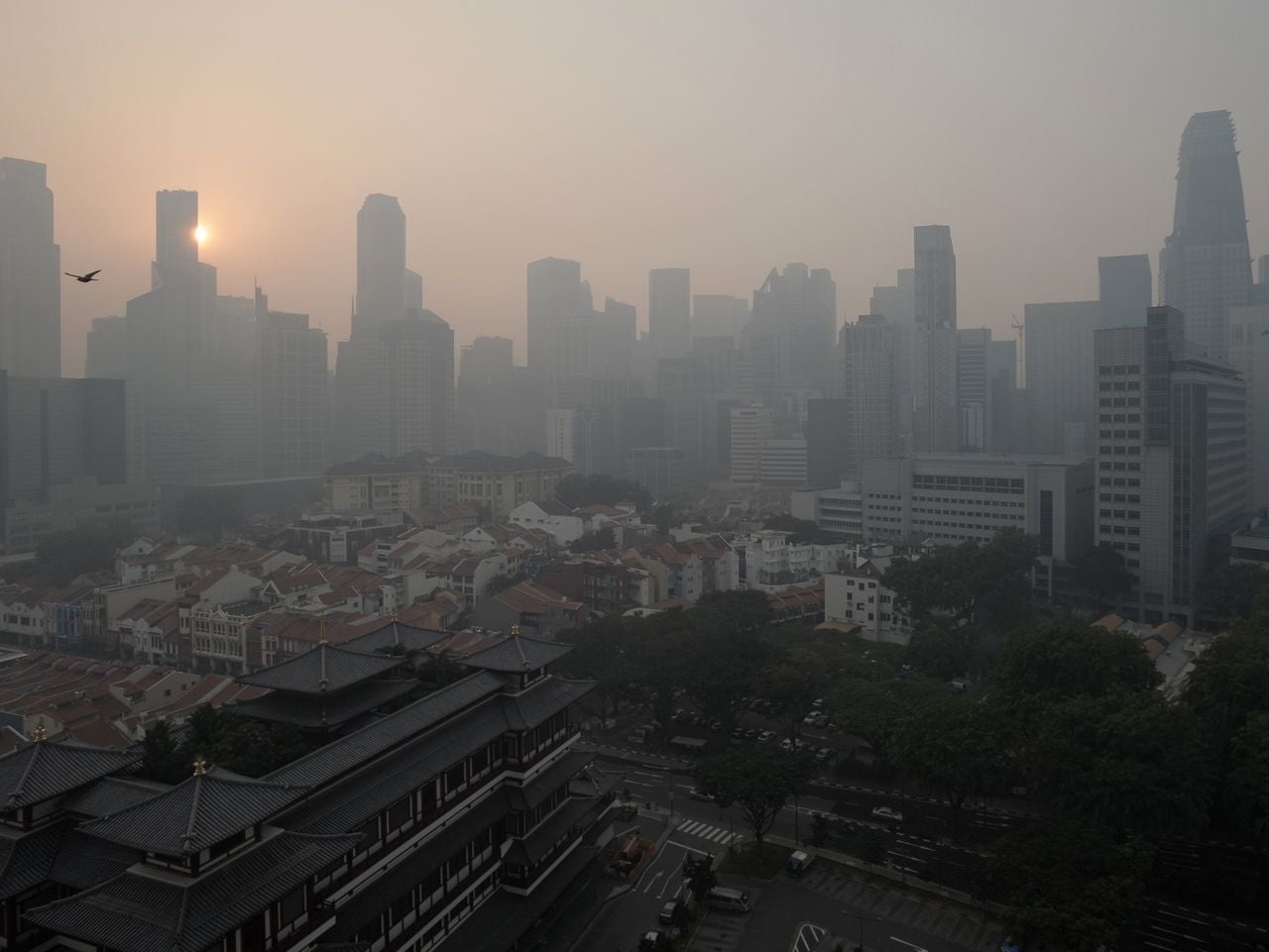 El smog en las ciudades se produce por las emisiones de gases de los autos, fábricas y quema del carbón.