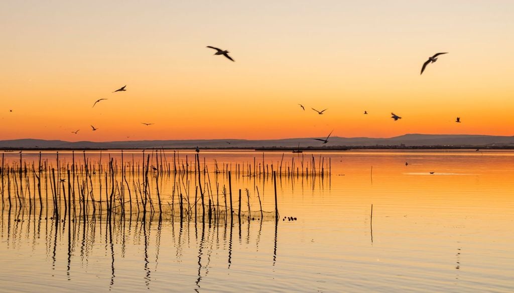 Albufera de Valencia La contaminación por nutrientes continúa comprometiendo el estado ecológico del humedal