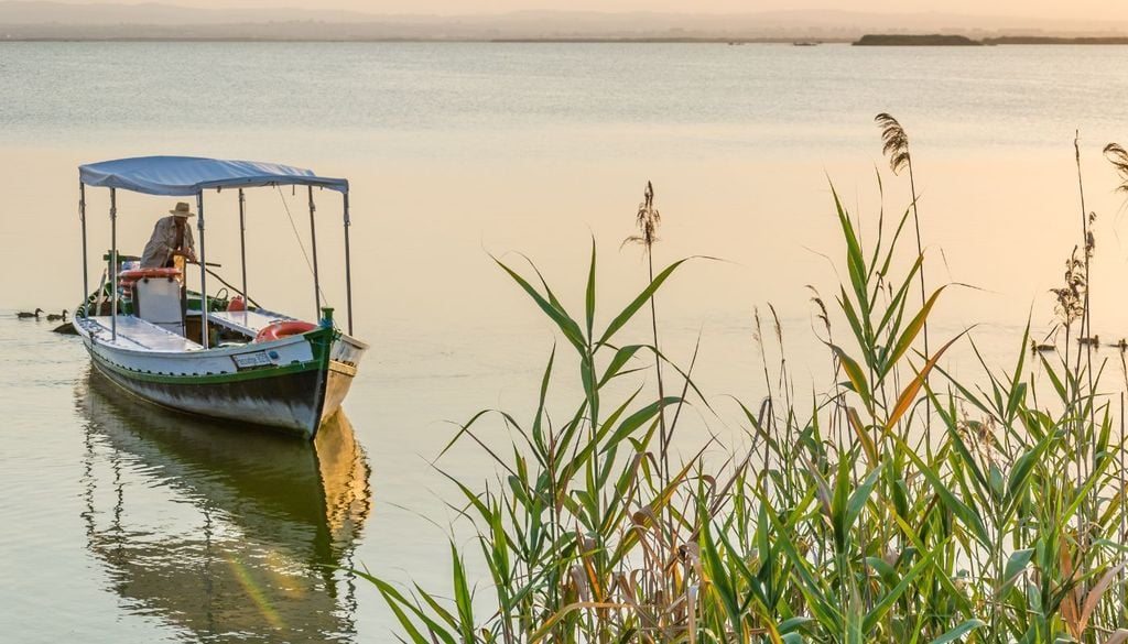 Albufera de Valencia Actualmente se producen de media 11,5 renovaciones anuales de agua