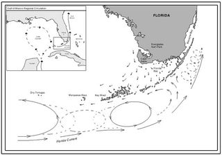 La Corriente de Florida se debilita: impactos en la del Golfo