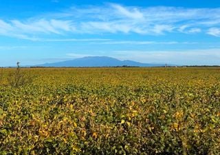 La cosecha r&eacute;cord empieza a despedirse y el agro abre una nueva etapa llena de interrogantes