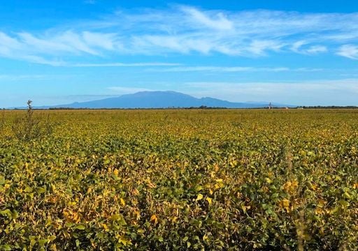 La cosecha r&eacute;cord empieza a despedirse y el agro abre una nueva etapa llena de interrogantes
