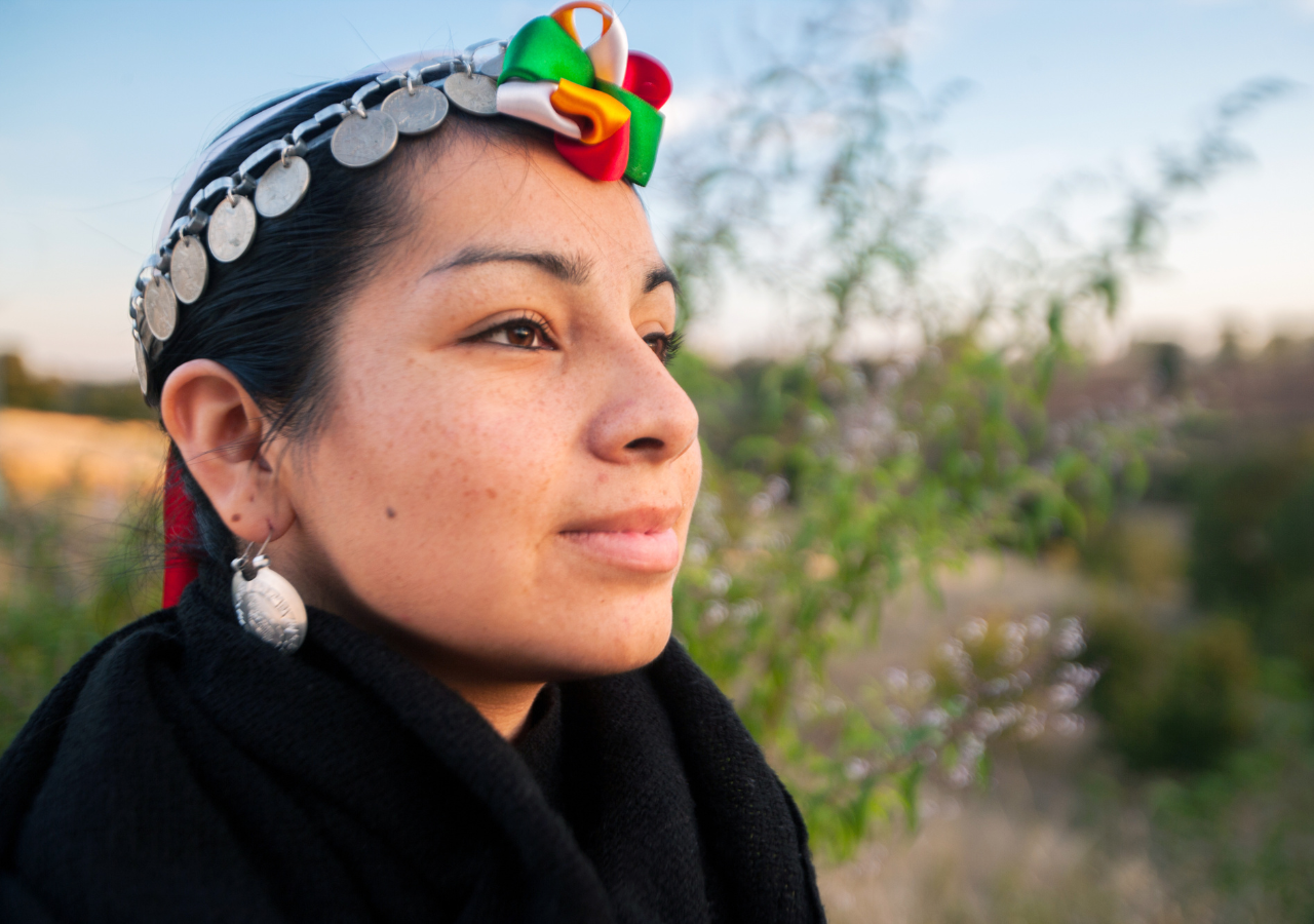 El pueblo mapuche posee un conocimiento ancestral digno de aprender.