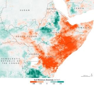 La crisis alimentaria crece en suelos secos