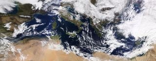 La crisis climática y el colapso del coral del Mediterráneo