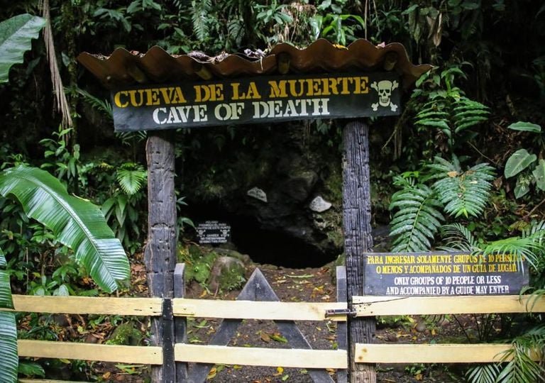 La 'cueva de la muerte' en Costa Rica: una trampa letal para toda criatura que intente entrar en ella
