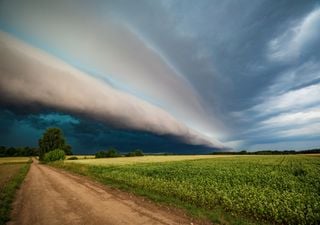 "La dana prevista tiene potencial para dejar tormentas adversas", avisa Andrea Danta sobre el 23 y 24 de mayo