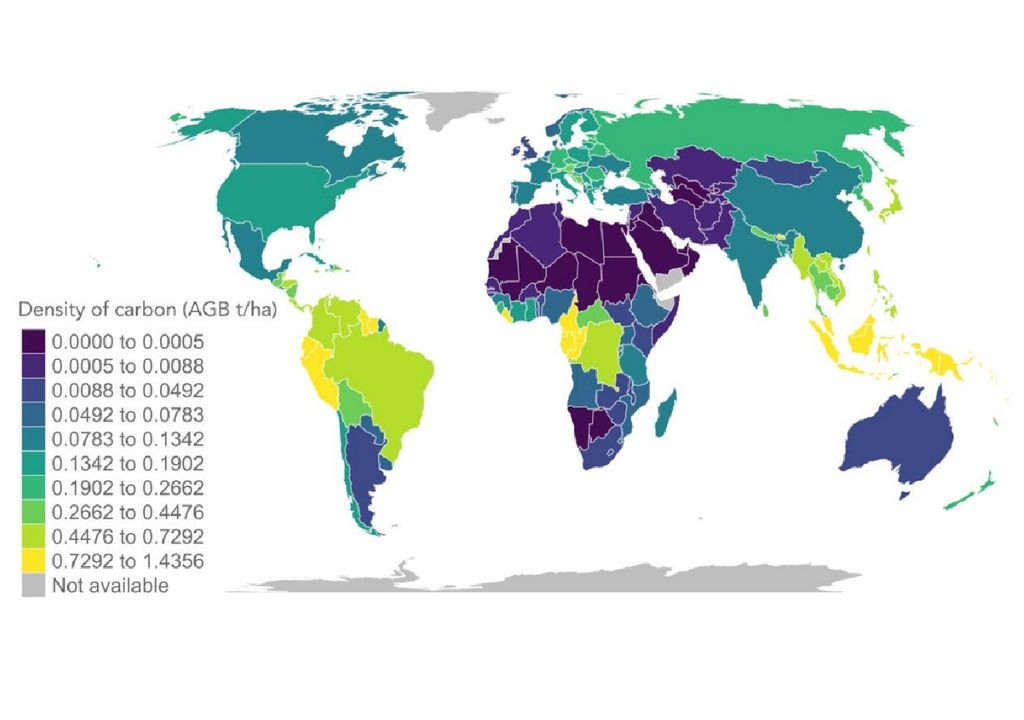 Forest Declaration Assessment Forest Declaration Assessment