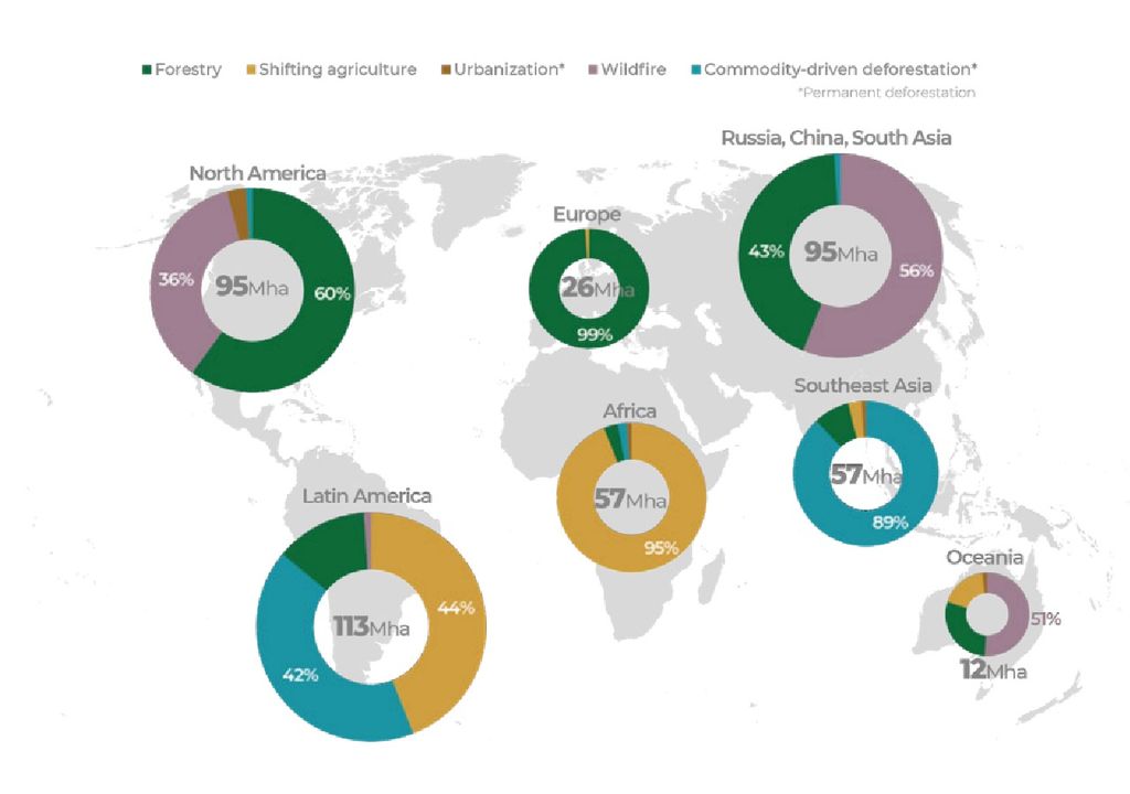 Forest Declaration Assessment Forest Declaration Assessment