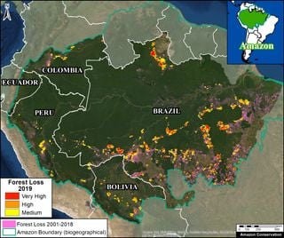La deforestación de la Amazonía brasileña: nuevo récord en mayo 2020