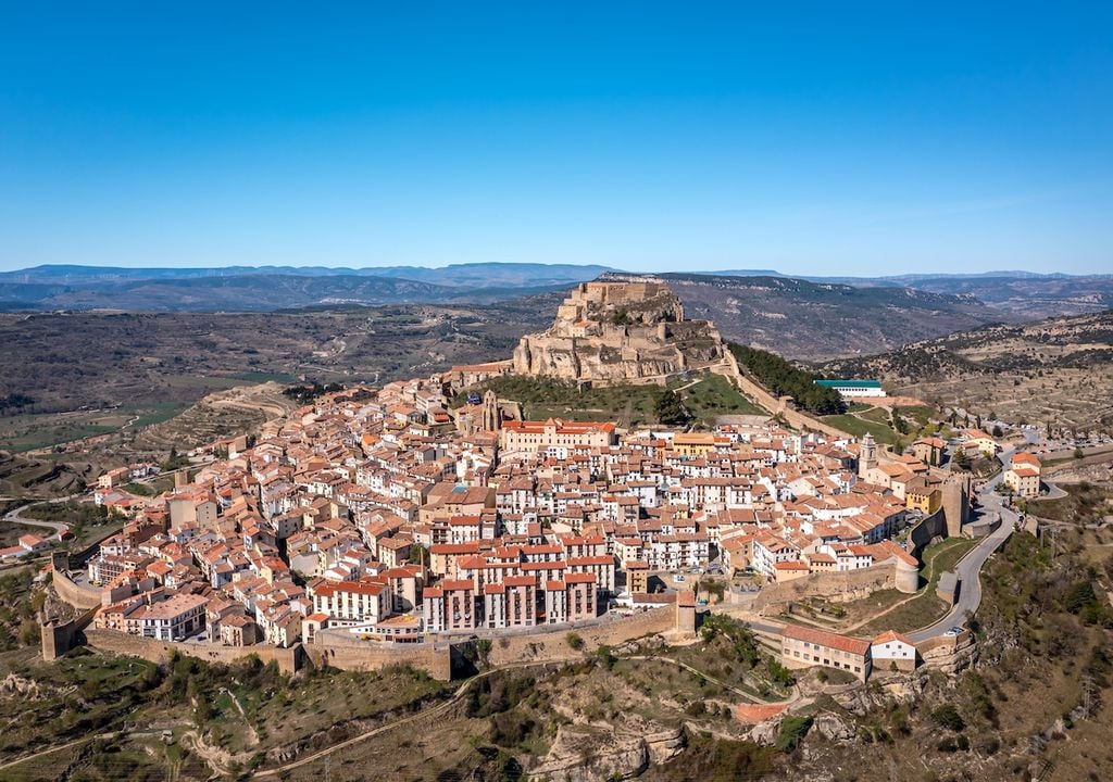 Morella