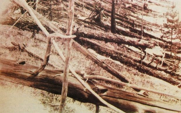 La Devastación De Tunguska: Los Neos La Devastación De Tunguska: Los Neos