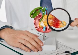 Scientists believe they could 'starve' pancreatic tumors with a ketogenic diet