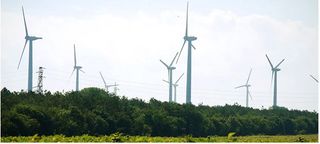 La economía verde puede crear 24 millones de empleos de aquí a 2030