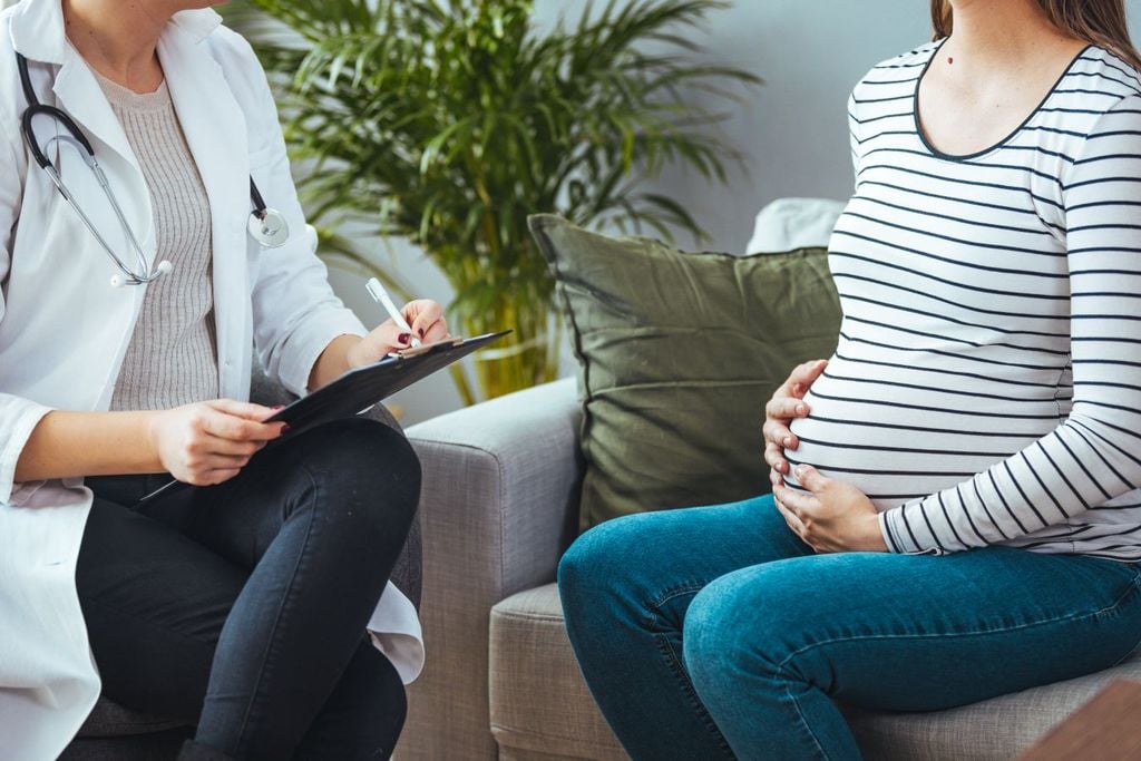 Bebé en proceso, una guía sobre el embarazo
