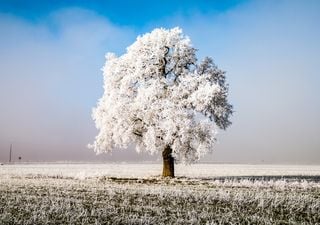 La época invernal se acerca a México, ¿sabes cuáles son los fenómenos y los efectos que nos provocan?