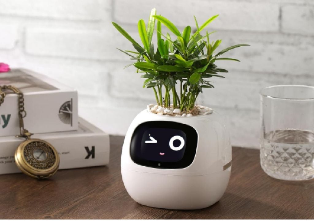 La era de las macetas inteligentes que traducen de manera revolucionaria lo que tus plantas necesitan La era de las macetas inteligentes que traducen de manera revolucionaria lo que tus plantas necesitan. Créditos: Plantsio-Amazon